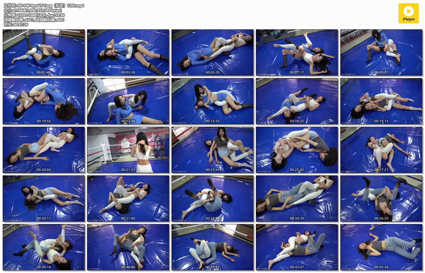 MF定拍- Byu VS Tang-格斗艺术