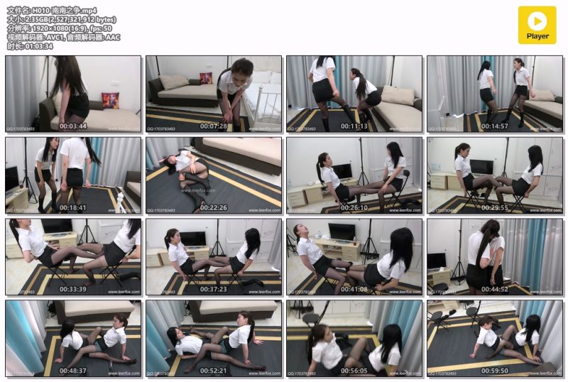 H010-南南之争-格斗艺术