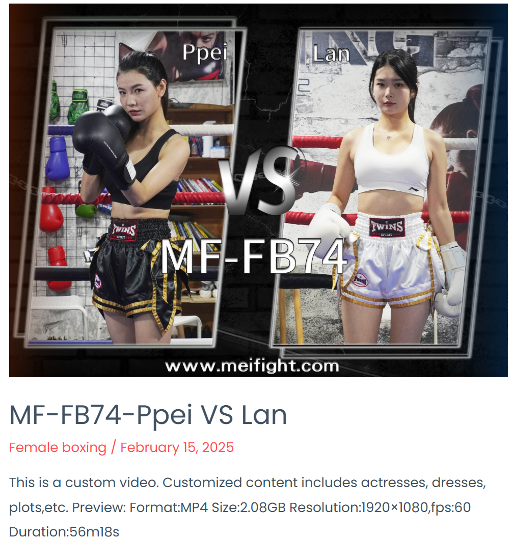 MF-FB74-Ppei VS Lan-格斗艺术