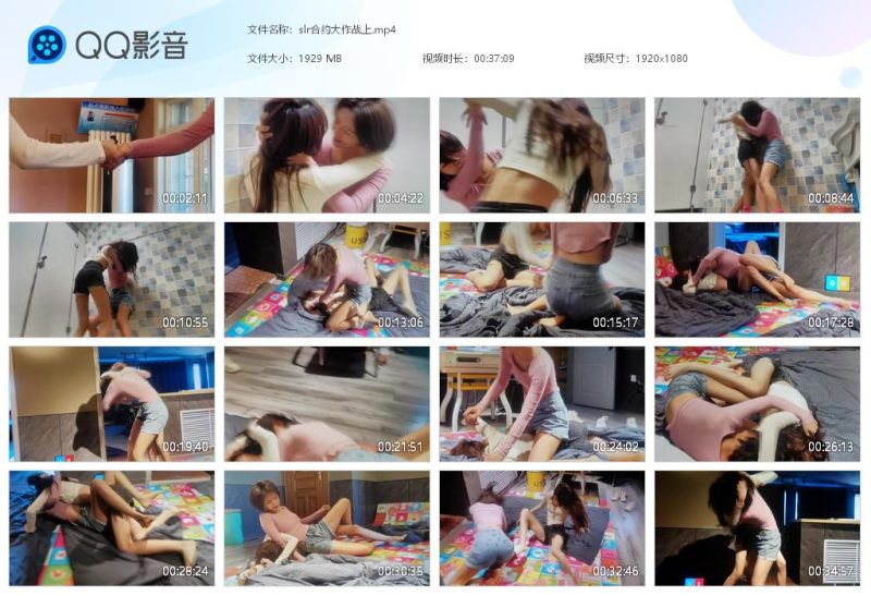 slr合约大作战上-格斗艺术