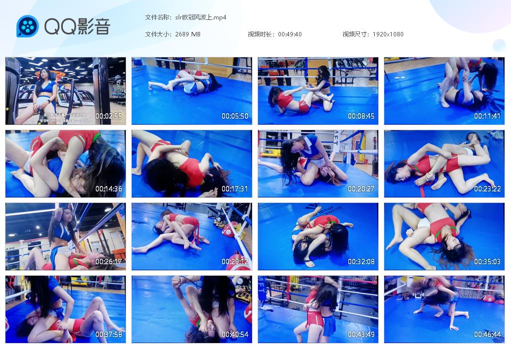 slr欧冠风波上-格斗艺术