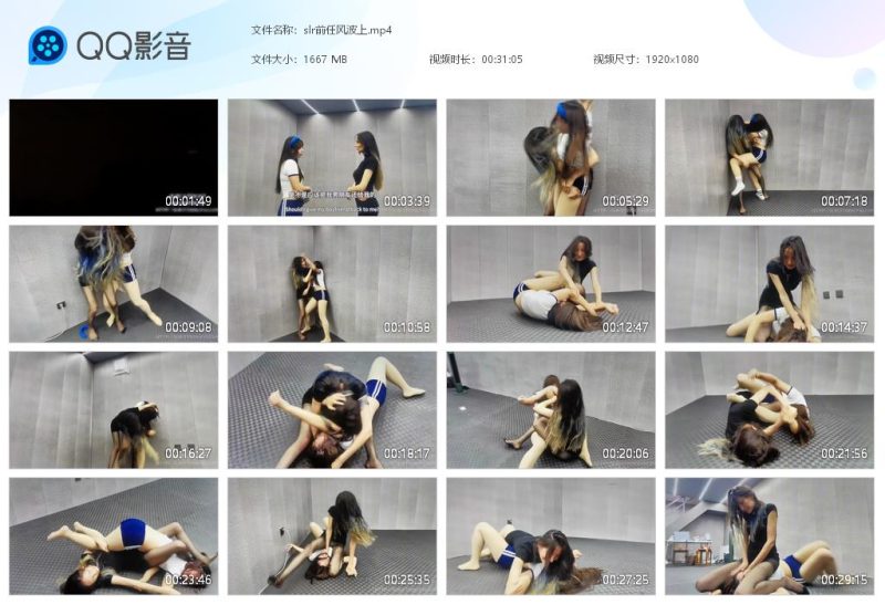 slr前任风波上-格斗艺术