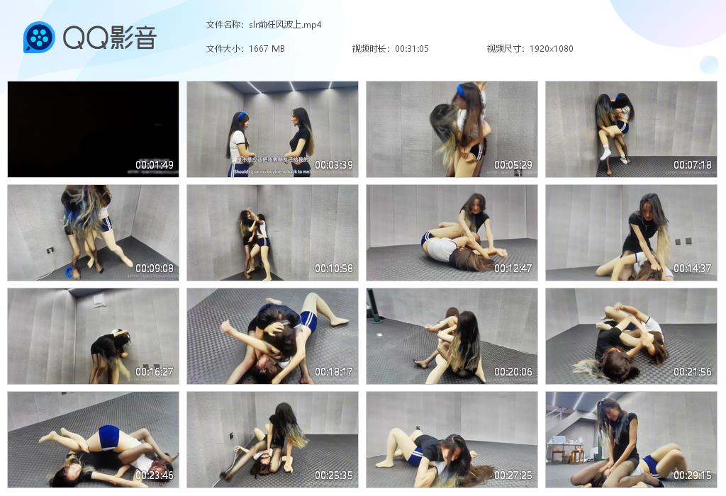 slr前任风波上-格斗艺术