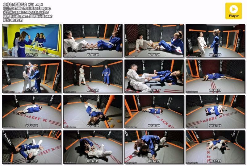 柔道风波（上）-格斗艺术