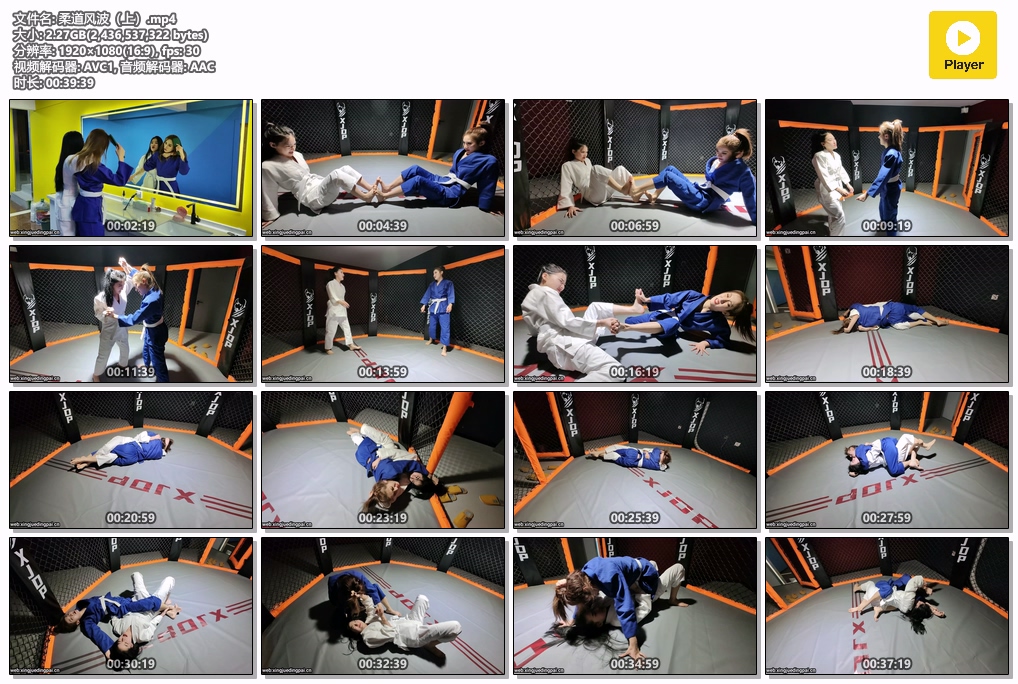 柔道风波（上）-格斗艺术