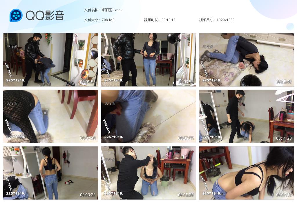 斯丽丽2-格斗艺术