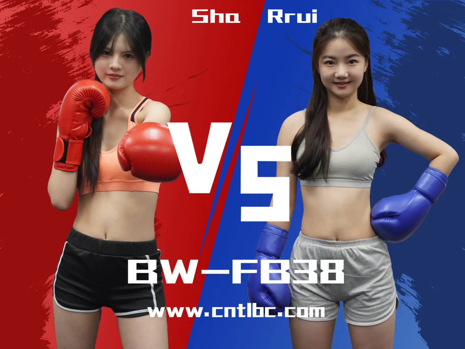 BW-FB38-格斗艺术