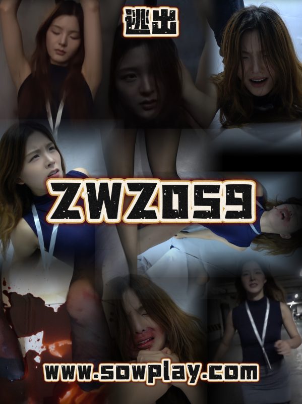 ZWZ059-格斗艺术