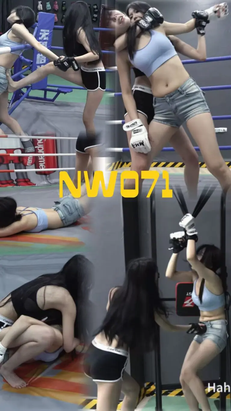 NW071-格斗艺术
