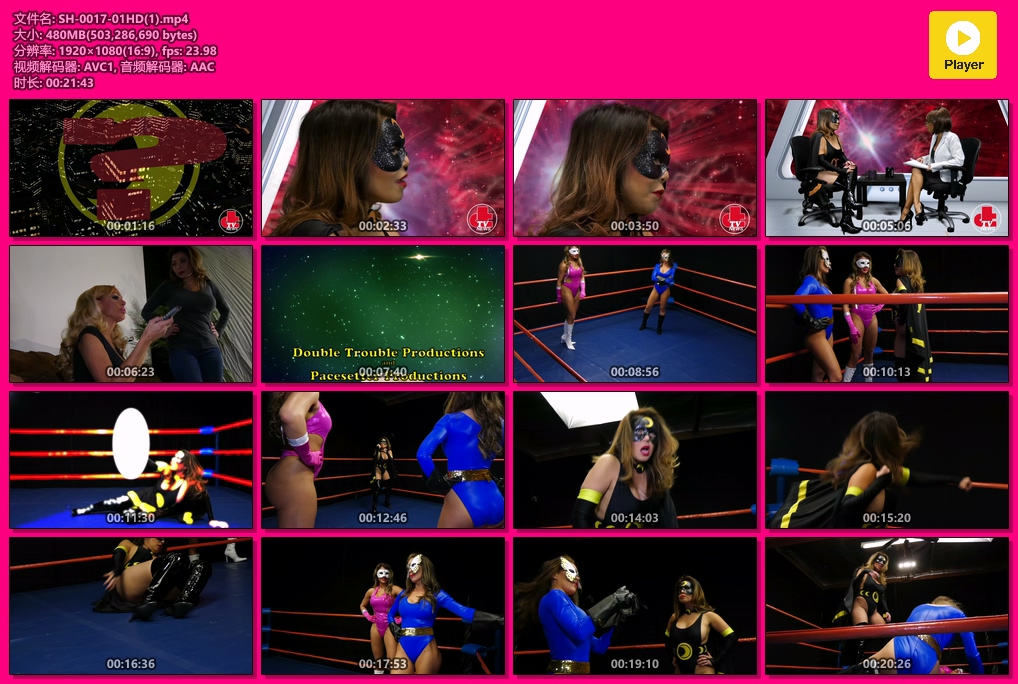 SH-0017-01HD1-格斗艺术