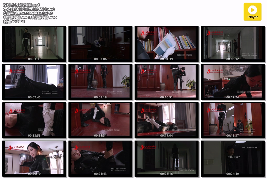 反杀女刺客-格斗艺术