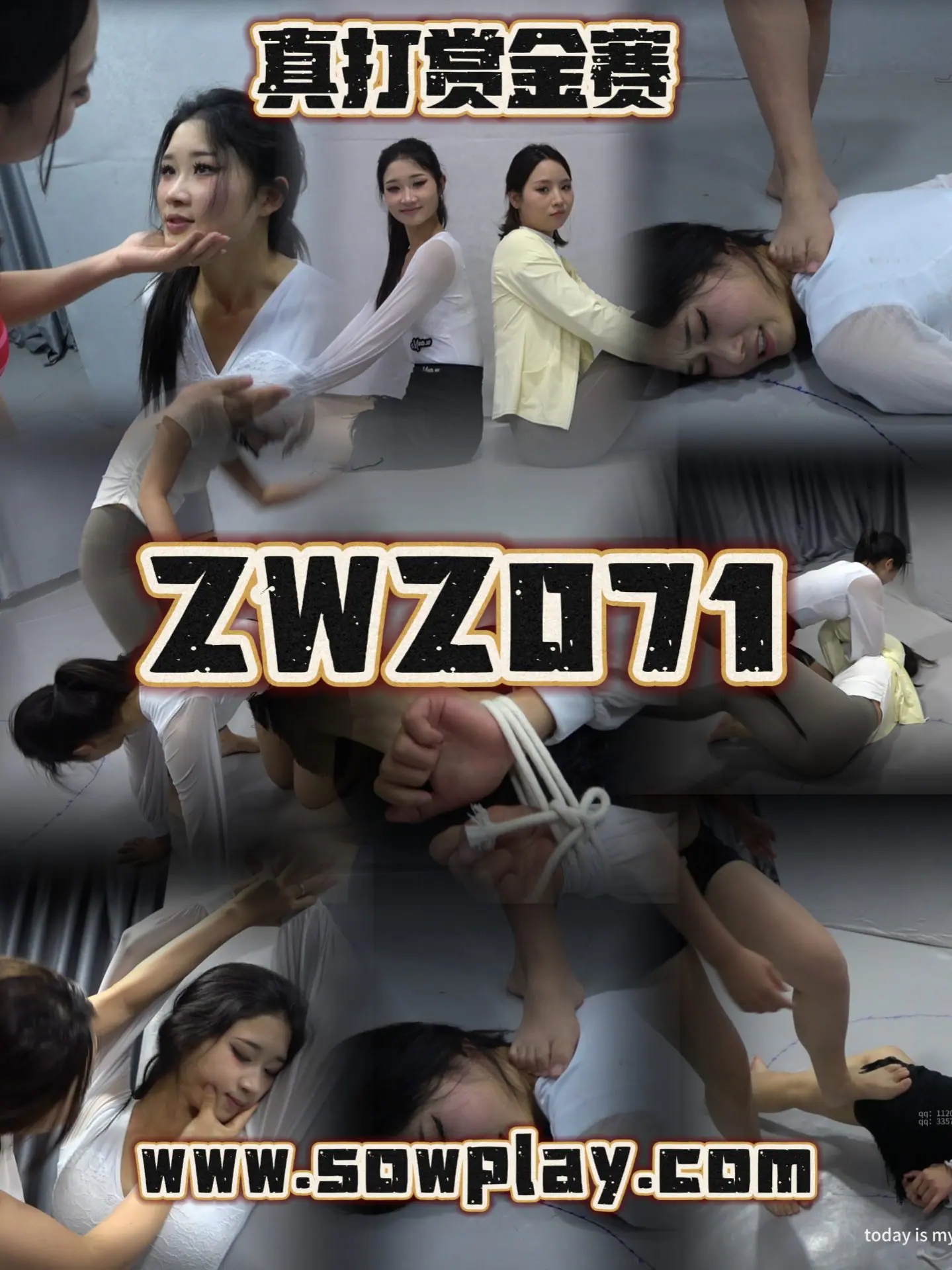 Z071 xiaoqi VS xiaomei-格斗艺术